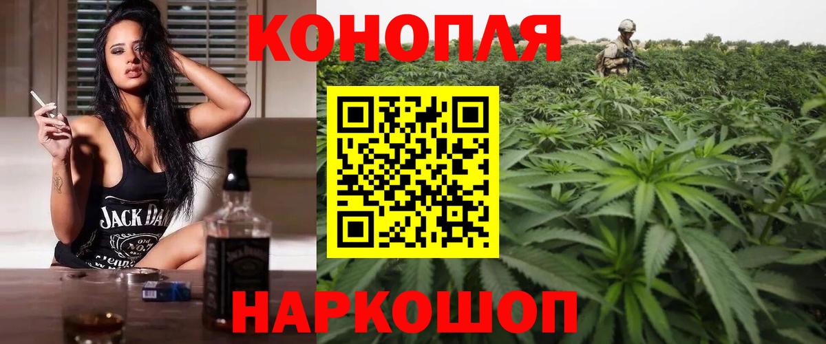 Корсаков  Бошки Шишки план  Вход с VPN  Шишки марихуана SATIVA & INDICA  Каннабис SATIVA & INDICA  Бошки Шишки ГИДРОПОН 